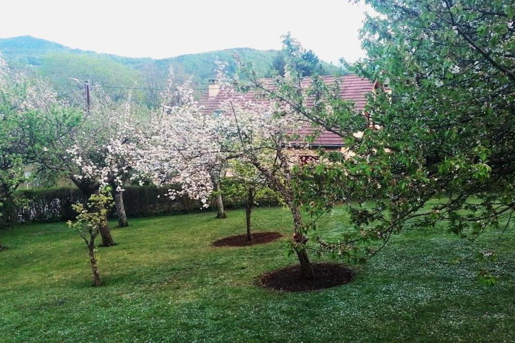 Maison De Montagne Saint Firmin  المظهر الخارجي الصورة